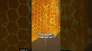 Honey: The Immortal Sweetener #shorts horts #facts