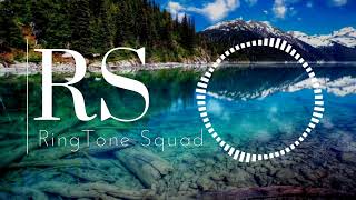 PLEEG - Spirit [NCS release]┃RingTone Squad┃