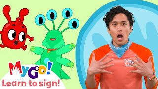 Learn Sign Language with Morphle! | Scary Animal House |  MyGo! | ASL for Kids