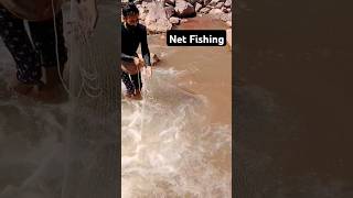 Net fishing#shorts #fishing #ytshorts #ytchannel #subscribe #share # #travel #newmusic #nature