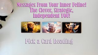 MESSAGES FROM YOUR CLEVER, INDEPENDENT, INNER FELINE! PICK A CARD READING