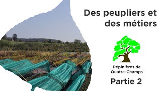 DPDM-Pépinières de Quatre-Champs Partie 2