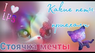 Lps: СТОЯЧКА МЕЧТЫ НАКОНЕЦ-ТО МОЯ