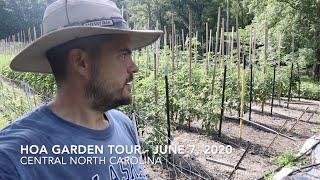 Homesteaders of America 2020 Garden Tour Collaboration