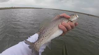 Kayak fishing Crystal Beach, Texas (Four Species)