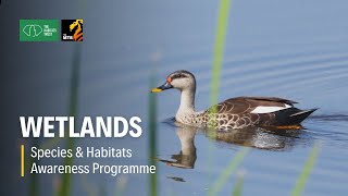 Wetlands - Species & Habitats Awareness Programme