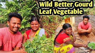 Cooking Wild Leaf Vegetable|Jangle Free Vegetable | Village Cooking Recipe