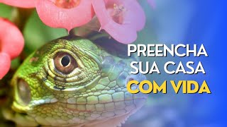 Os animais de estimação que vão MUDAR a sua vida: O que você nunca imaginou!