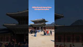 Tips on visiting Gyeongbokgung Palace in Korea! #korea #travel #seoul #travelvlog #shorts