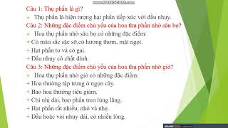 Sinh 6   Tuần 23  tiết 46  ÔN TẬP