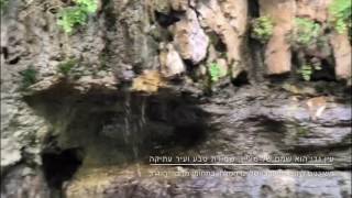 עין גדי, ים המלח - ישראל Israel Dead Sea - Ein Gedi