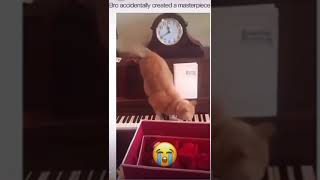 CAT MAKE A MUSIC 🎼 😂#shorts #viral #cat #catlover #funny #comedy #piano #music #pets