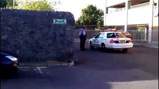 NYPD getting pulled over by Irish cops!