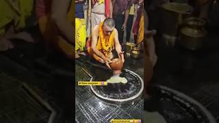 Baba Dham Devghar Jyotirling Sawan त्रियोदशी 🕉️🙏🏻🔱|#shorts#babadham #ज्योतिर्लिंग#बाबाधाम 02/8/2024|