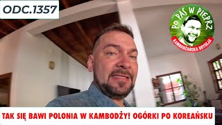 Tak się bawi Polonia w Kambodży! Ogórki po koreańsku. Odc.1357