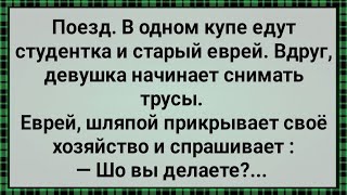 Как Студентка Перед Старым Евреем Трусы Сняла! Сборник Свежих Анекдотов! Юмор!