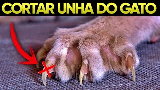 Como cortar unha de Gato em 2 minutos!