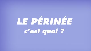 Le périnée, c'est quoi ? Les mots tordus d'Estelle Hersaint