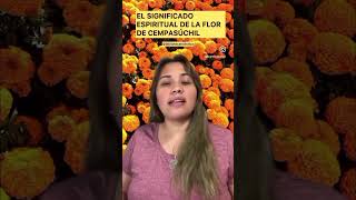 Flor de cempasúchil #bibliotecaholistica #esmeraldaandres #flordecempasuchil