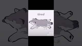 I'm so tired as a wolf