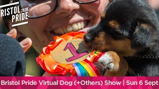 Virtual Dog (+Other) Show