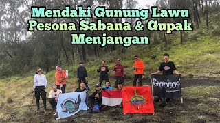 Mendaki Gunung Lawu 3265 mdpl Via Candi Cheto Part 5 || Pesona Sabana & Gupak Menjangan || #5