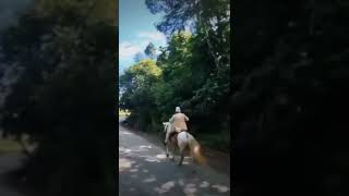 Horse ride #horseriding #shorts #viral #video #viralvideo #viralshorts #videos #short #shortvideo