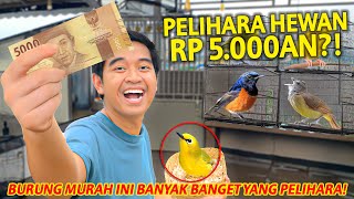 PELIHARA HEWAN HARGANYA CUMAN RP 5.000AN? DULU SEMURAH INI SEKARANG NAIK KELAS!