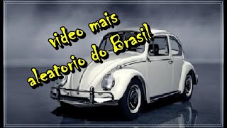 ✔ vídeo mais aleatório do Brasil👌