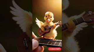 CUTE DUCK MUSICIAN VIDEOS? Watch This Now!