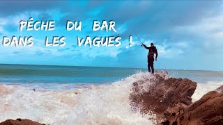 PÊCHE du BAR dans les VAGUES depuis le BORD! (À l'abris de la tempête se cache souvent des trésors)