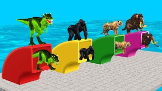 Choose The Right Pipe With Gorilla Cow Mammoth Elephant Dinosaur Wild Animal Obstacle Game