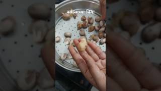 Boiled Jackfruit Seeds | Boiled फणसाच्या बिया #jackfruitseedrecipe #aaicheprem #cookingchannel