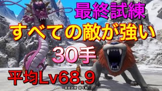 【ドラクエ11s】最終試練 30手クリア すべての敵が強い