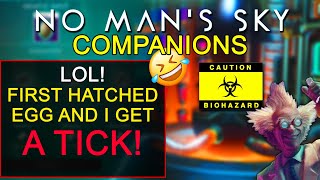 No Man's Sky Companions 2021 Gameplay-  First Companion And I Got This LOL