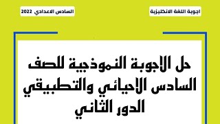 حل اسئلة الانكليزي للصف السادس الاعدادي الدور الثاني / الأجوبة النموذجية / 2022/9/24 /