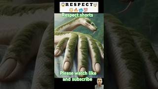 Respect shorts #respectsearch #shortsfeed #shortvideo #youtubeshorts