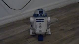 my R2D2 Danny i built at the droid workshop Hollywood studios