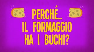 Perché il formaggio ha i buchi?