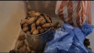 KACANG REBUS ENAK DIKENDARI, AYO LARISKAN DAGANGAN IBU INI | INDONESIA STREET FOOD