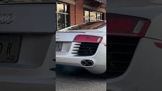 The Lion Roar #armytrix #armytrixexhaust #audir8 #shorts #r8v8 #gatedmanual #audi #loudexhaust