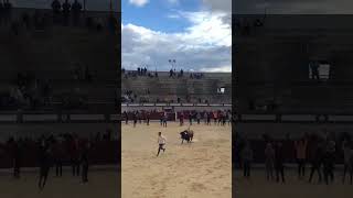 AJUSTADO RECORTE EN TORIJA AL TORO DE MARTIN LORCA!! #shrots #toros #torospopulares