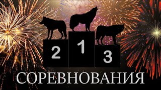 СОРЕВНОВАНИЯ! 2 ДЕНЬ - ФИНАЛ! WolfQuest: Anniversary Edition