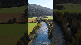 The Serenity of Scandinavian Countryside #river #stonebridge  #asmrnature #oldbridge