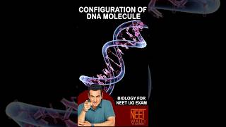 CONFIGURATION of DNA Molecule | DNA | Molecular basis of inheritance | BIOLOGY FOR NEET #neet