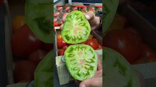 Green #tomato 😋 Cutting open#fresh vegetable