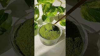 How to make moringa powder at home and save money#shorts #moringapowder #moringaBenifits #food