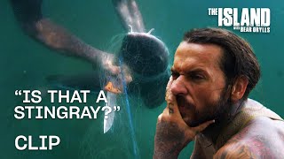 They Caught a Shark! | The Island with Bear Grylls