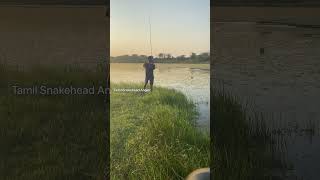 Snakehead Catch In IPhone #iphonephotography