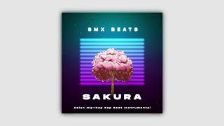 🌸 "SAKURA" - Asian Hip-hop Rap Beat Instrumental (Prod.SMX BEATS)